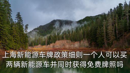 上海新能源車牌政策細則一個人可以買兩輛新能源車并同時獲得免費牌照嗎