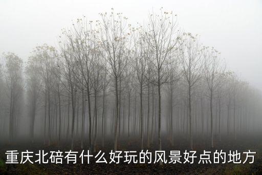 重慶市北碚區文旅委地址，重慶市北碚區天生路