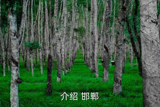 邯鄲八景,中國平原上最大規模古城遺址保存完好