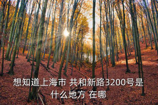 想知道上海市 共和新路3200號是什么地方 在哪
