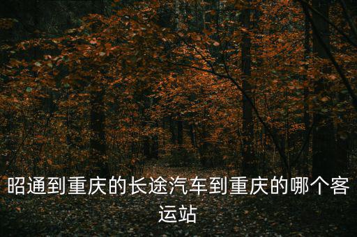 昭通到重慶的長(zhǎng)途汽車到重慶的哪個(gè)客運(yùn)站