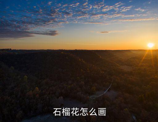  石榴花怎么畫