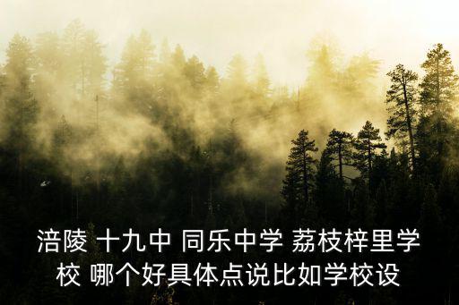 涪陵 十九中 同樂中學 荔枝梓里學校 哪個好具體點說比如學校設
