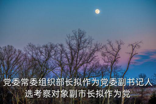 黨委常委組織部長擬作為黨委副書記人選考察對象副市長擬作為黨