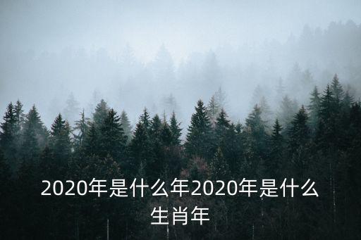 2020什么年,2020年是庚子年鼠年對應年份為什么?