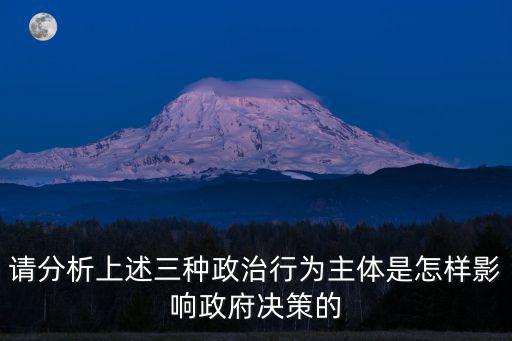 請分析上述三種政治行為主體是怎樣影響政府決策的