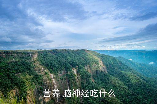  營養(yǎng) 腦神經(jīng)吃什么