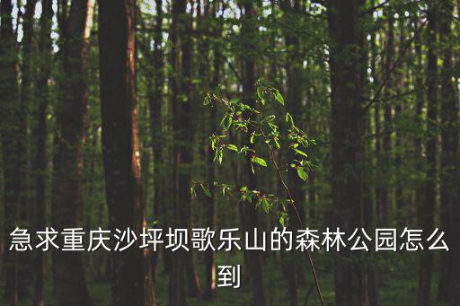 重慶市沙坪壩區歌樂山森林公園，重慶歌樂山森林公園