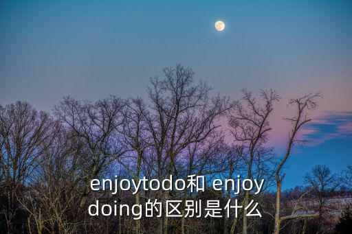 enjoy的名詞