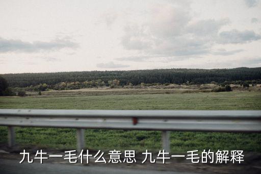  九牛一毛什么意思 九牛一毛的解釋