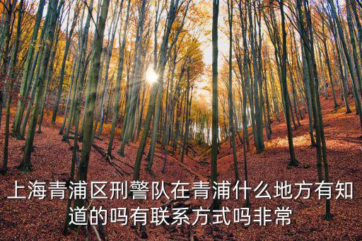 上海青浦區刑警隊在青浦什么地方有知道的嗎有聯系方式嗎非常