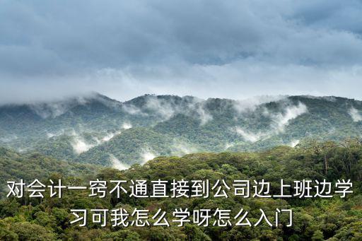 對會計一竅不通直接到公司邊上班邊學習可我怎么學呀怎么入門