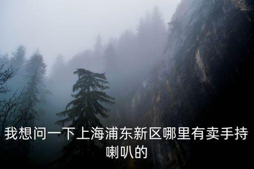我想問一下上海浦東新區哪里有賣手持喇叭的