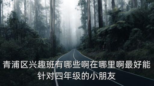 青浦區(qū)興趣班有哪些啊在哪里啊最好能針對(duì)四年級(jí)的小朋友