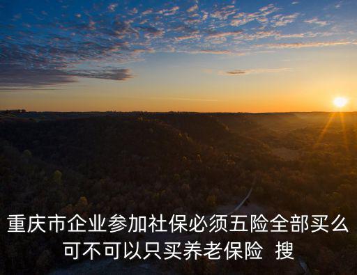 重慶市企業(yè)參加社保必須五險全部買么可不可以只買養(yǎng)老保險  搜