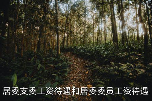 居委支委工資待遇和居委委員工資待遇