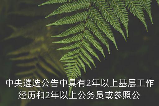 中央遴選什么時候開始，2018年中央遴選公告什么時候出來