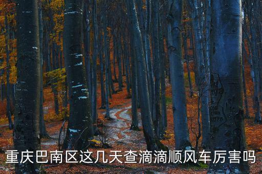重慶巴南區這幾天查滴滴順風車厲害嗎