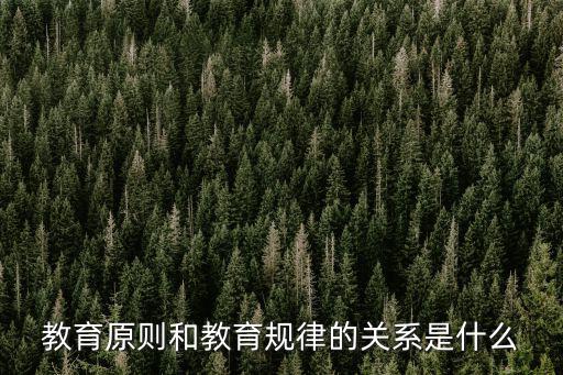 教育原則，教育原則和教育規律的關系是什么