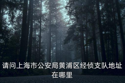 請問上海市公安局黃浦區(qū)經(jīng)偵支隊地址在哪里