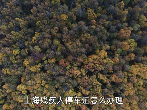 上海殘疾人停車證怎么辦理