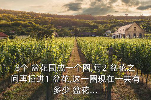 一盆花簡筆畫,《我的盆花作文150字》第二集
