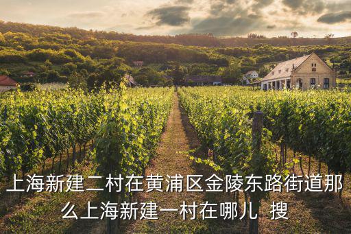 上海新建二村在黃浦區金陵東路街道那么上海新建一村在哪兒  搜