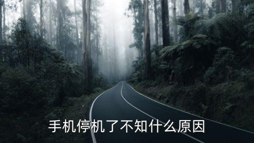 手機停機了不知什么原因