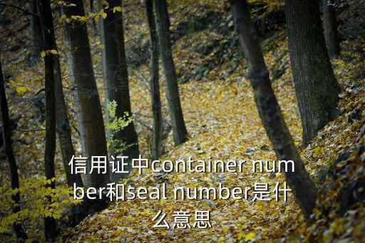 信用證中container number和seal number是什么意思