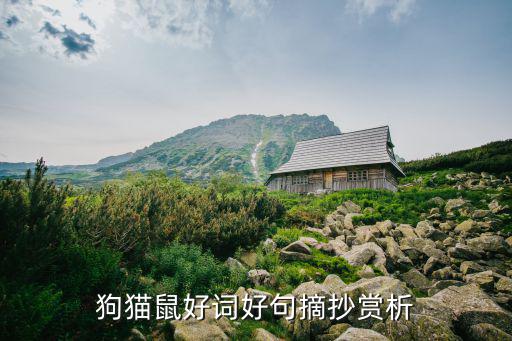 狗貓鼠好詞好句摘抄賞析
