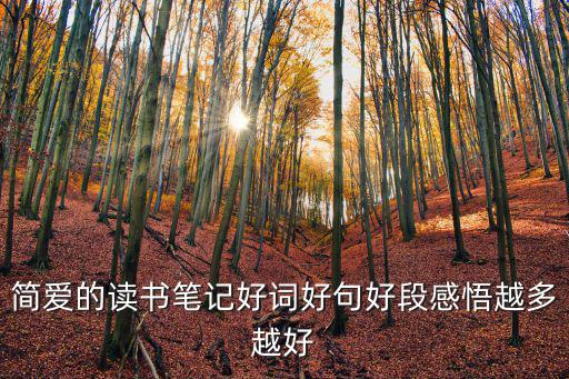 簡愛的讀書筆記好詞好句好段感悟越多越好