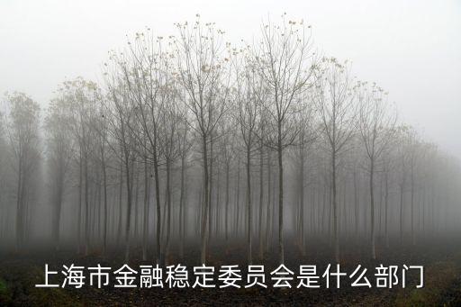 上海市金融穩定委員會是什么部門