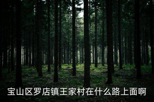 寶山區羅店鎮王家村在什么路上面啊
