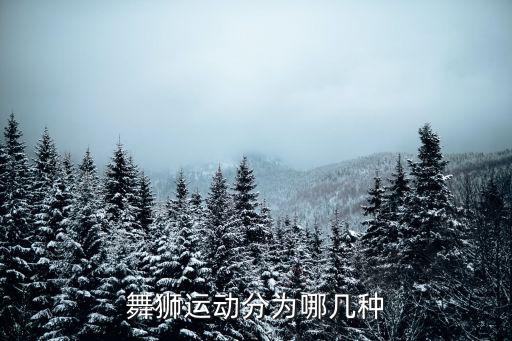 獅子舞,獅子舞猜三個數-答案:415