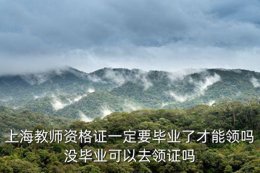 上海市教師資格證可以領錢嗎，上海市閔行區金孔雀幼兒園的老師都有教師資格證嗎她們是不是經常
