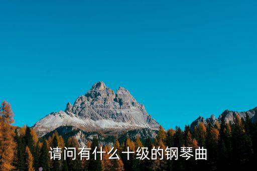 請(qǐng)問(wèn)有什么十級(jí)的鋼琴曲