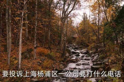 楊浦區投訴辦，要投訴上海楊浦區一公司要打什么電話