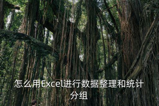 怎么用Excel進行數據整理和統計分組