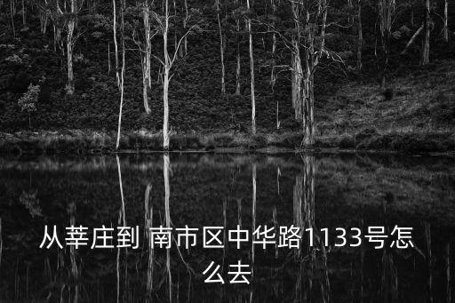 從莘莊到 南市區中華路1133號怎么去