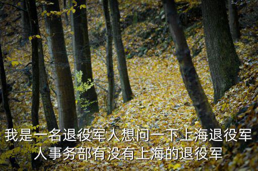 我是一名退役軍人想問一下上海退役軍人事務部有沒有上海的退役軍