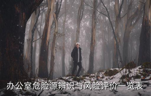 辦公室危險源辨識與風險評價一覽表