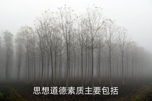 道德素質(zhì)，思想道德素質(zhì)包括哪些