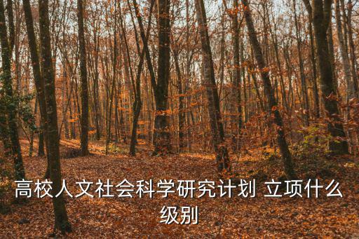 高校人文社會科學研究計劃 立項什么級別