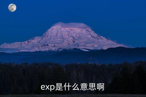 EXP什么意思,數學名詞exp:數學中的自然常數