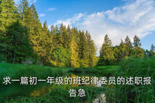 紀(jì)律委員述職報(bào)告，初中紀(jì)律委員工作總結(jié)
