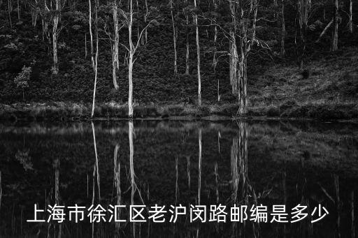 上海市老滬閔路1111弄郵編，上海市徐匯區老滬閔路郵編是多少
