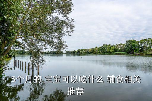 5個月的 寶寶可以吃什么 輔食相關(guān)推薦