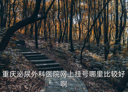 重慶泌尿外科醫院網上掛號哪里比較好啊