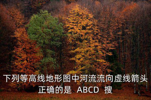 下列等高線地形圖中河流流向虛線箭頭正確的是  ABCD  搜