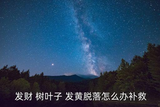  發財 樹葉子 發黃脫落怎么辦補救
